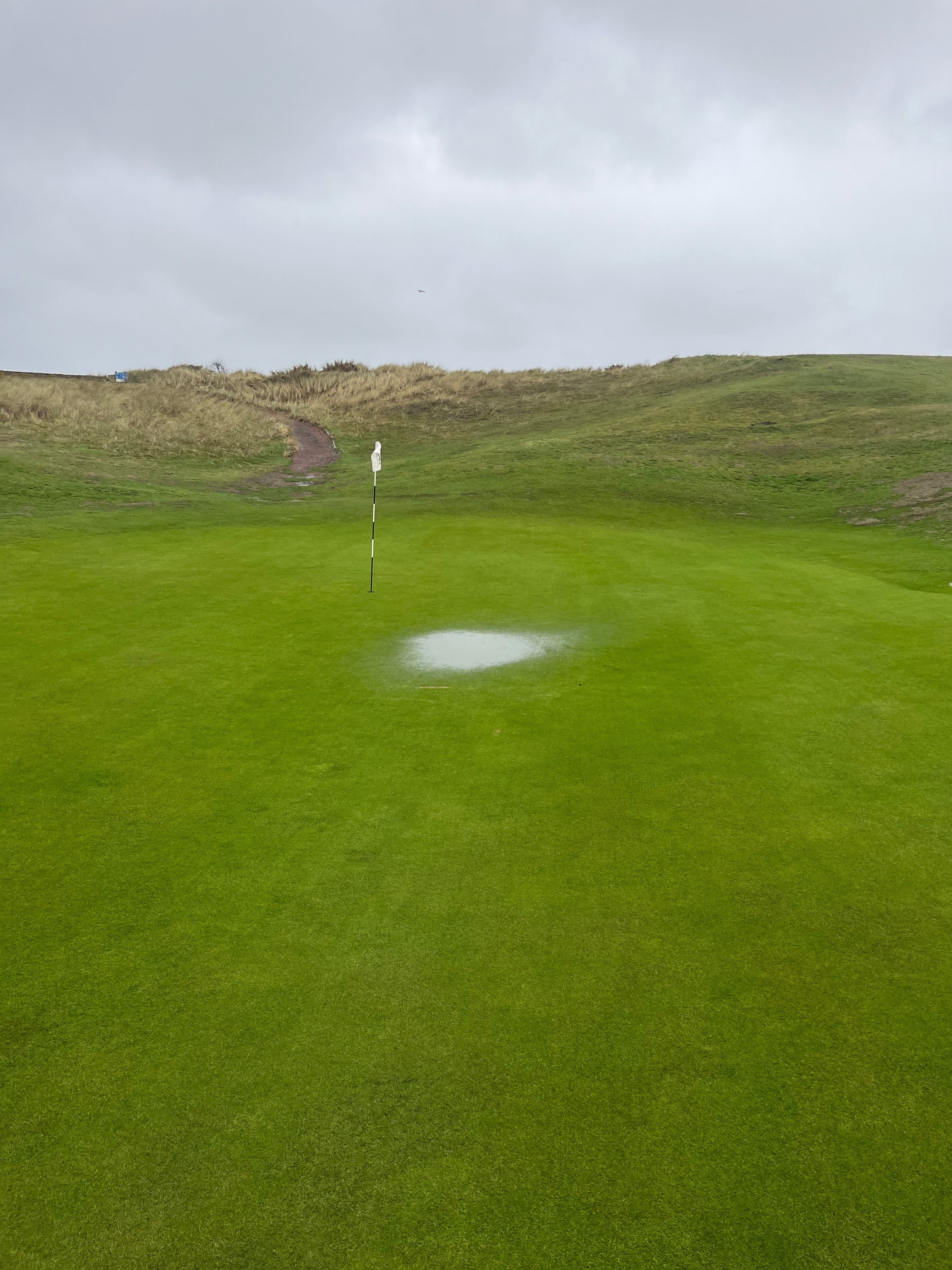 November – 40mm Down, Greens Unphased – 2025