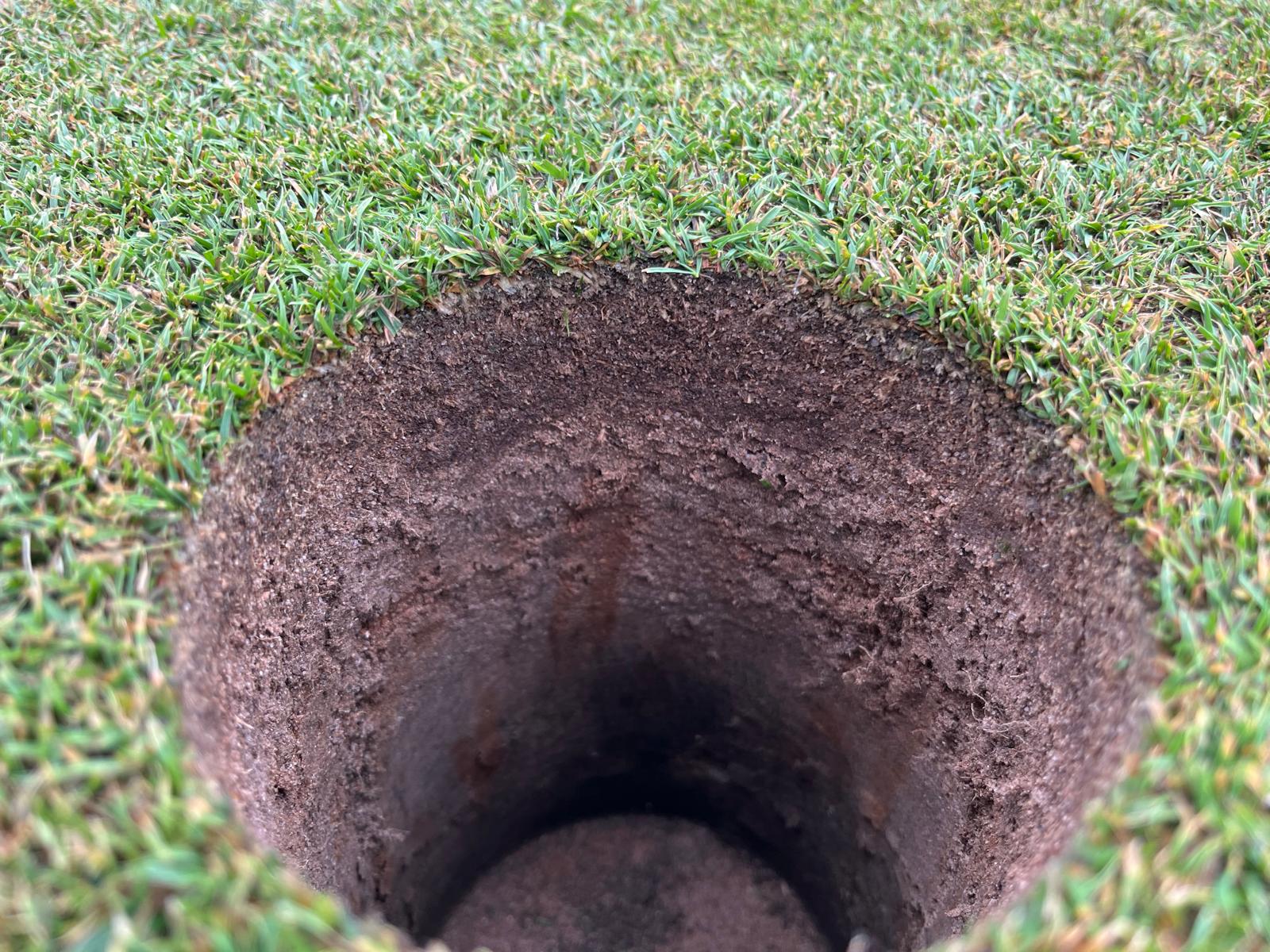 June – Thatch and Dry Patch Challenges on the Greens – 2025