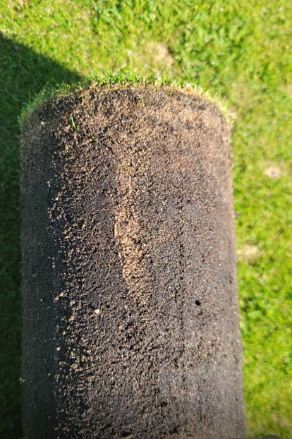 June Update – Renovation Success – 2025